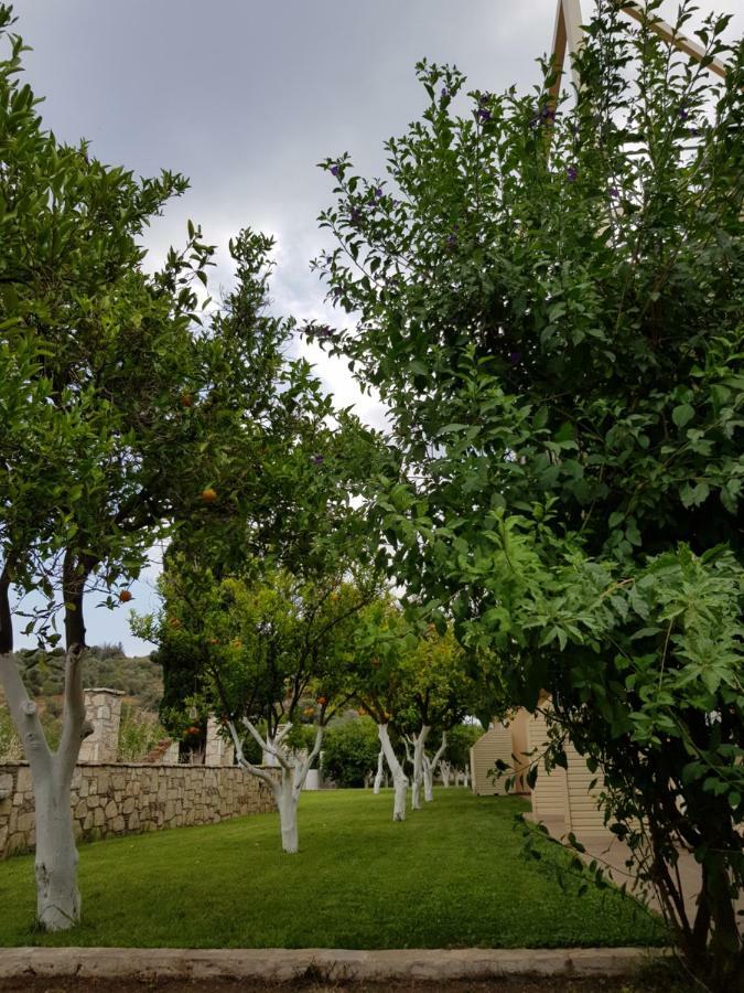 Το Είδωλον Apartment Epidaurus Bagian luar foto